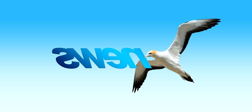 Analytics and monitoring category icon