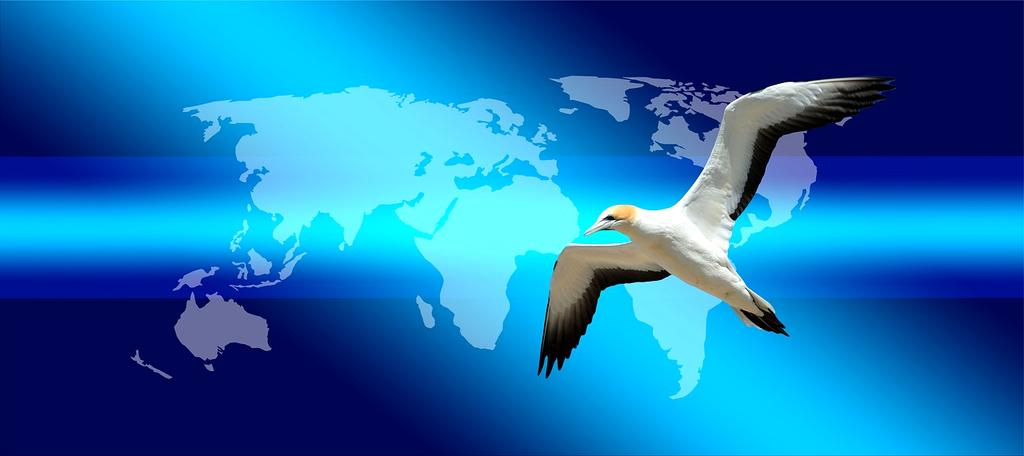 CRM and sales category icon