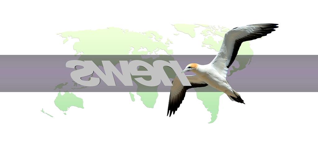 Custom strategy icon