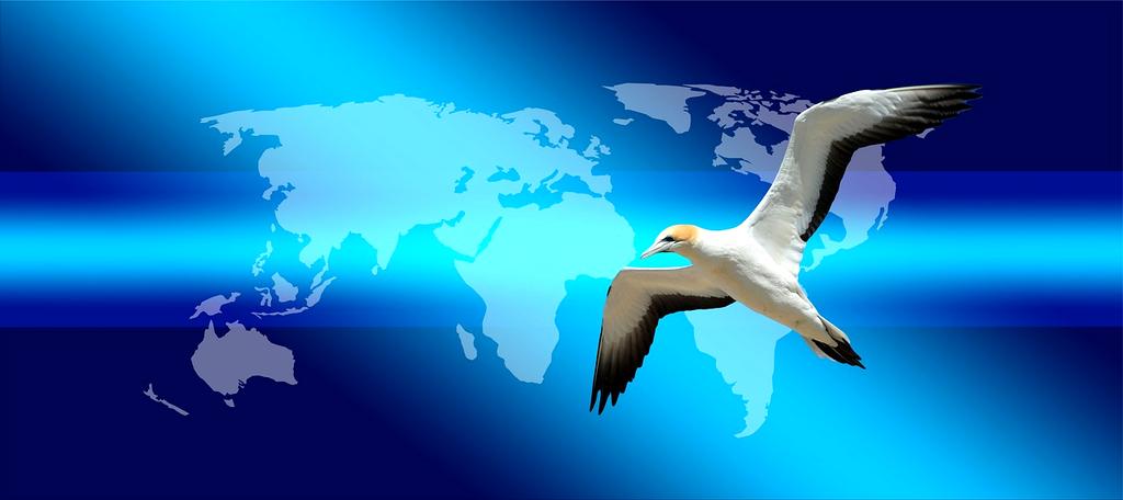 Microsoft Teams integration icon